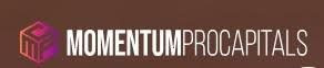 Логотип Momentum Pro Capitals